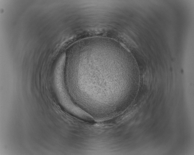 X0000068890961200605122030