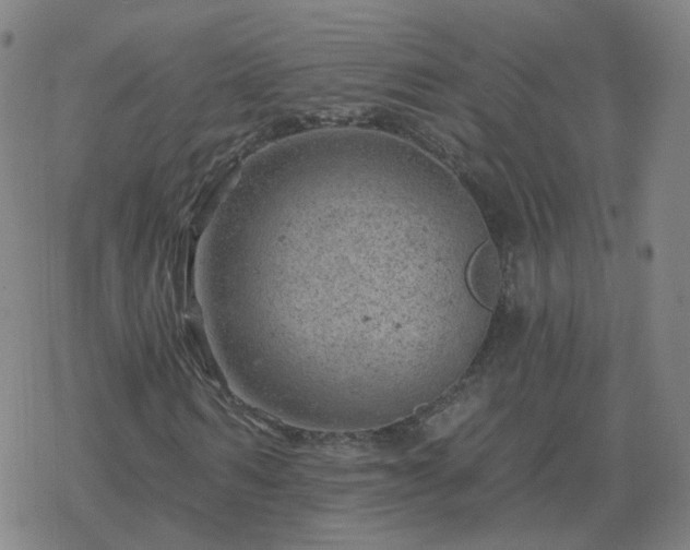 X0000068890962200605122030