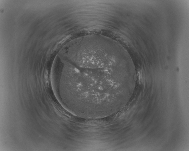 X0000068890963200605122030