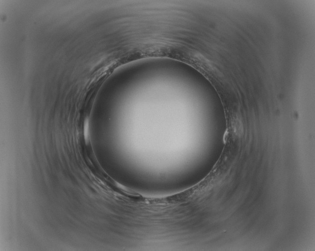 X0000068890964200605122030