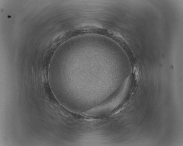 X0000068890965200605122030