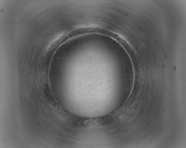 X0000068890967200605122029