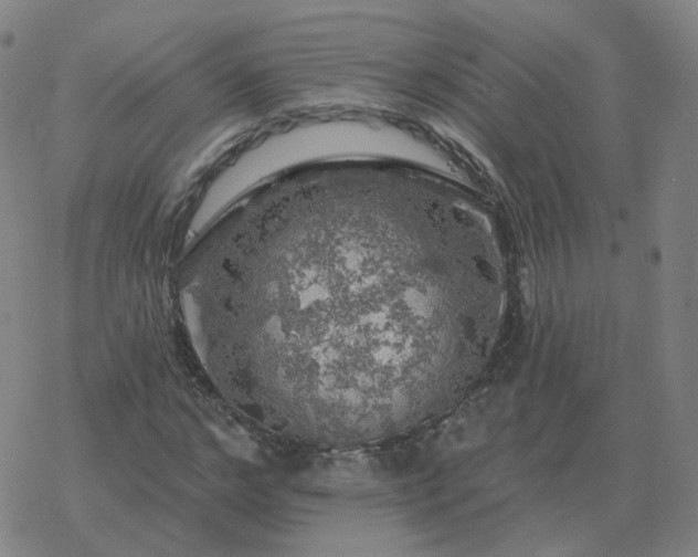 X0000068890968200605122029