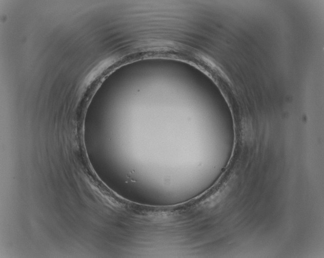 X0000068890970200605122029