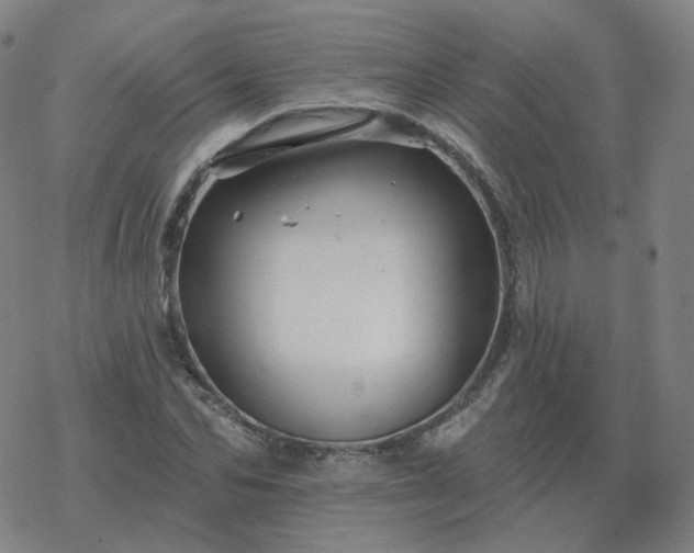 X0000068890974200605122029