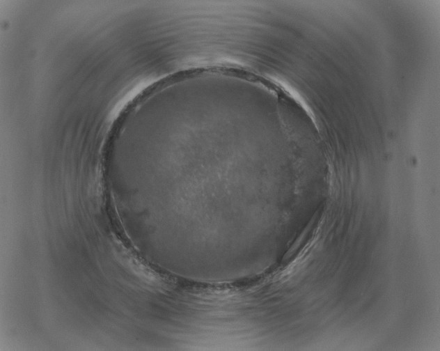 X0000068890975200605122029