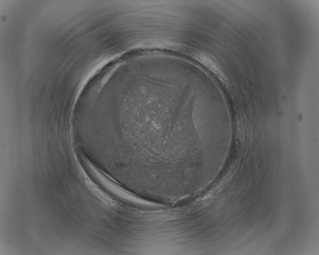 X0000068890976200605122029