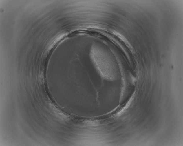 X0000068890977200605122029