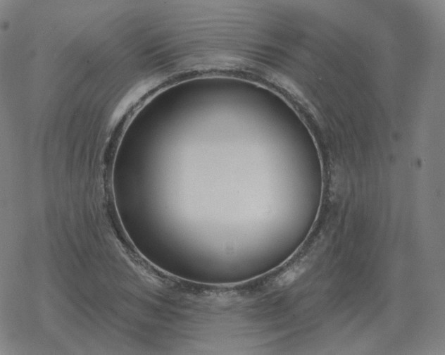 X0000068890978200605122029