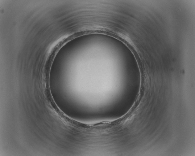 X0000068890979200605122029