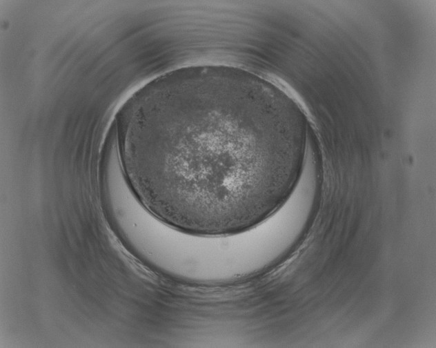 X0000068890980200605122029