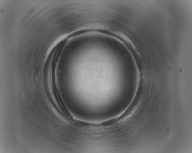 X0000068890981200605122029