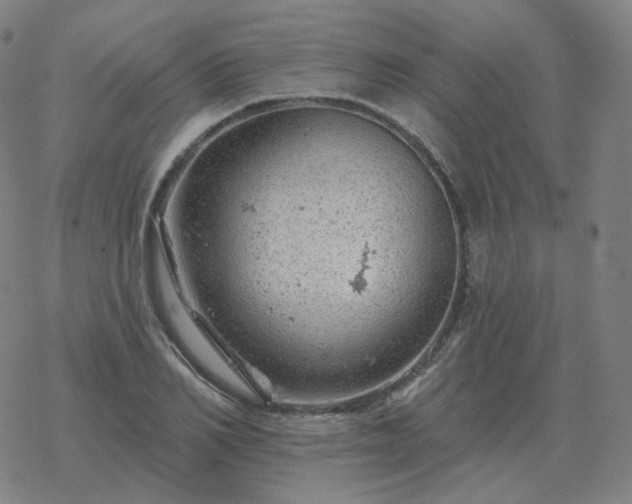 X0000068890982200605122029