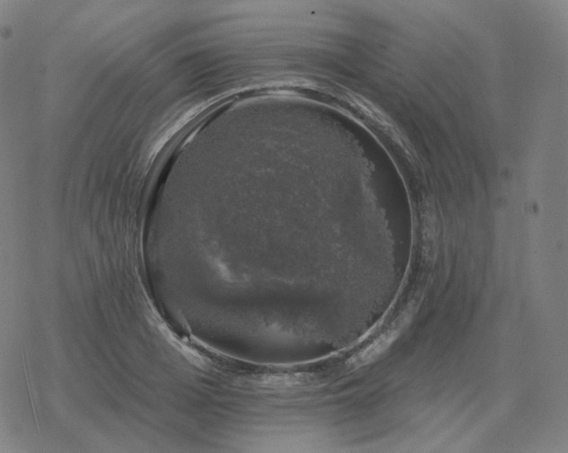 X0000068890985200605122029