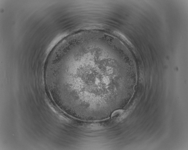 X0000068890986200605122029