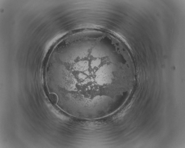 X0000068890987200605122029