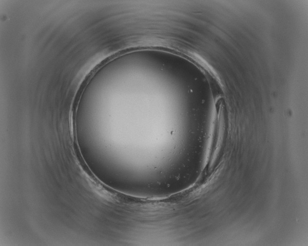 X0000068890988200605122029