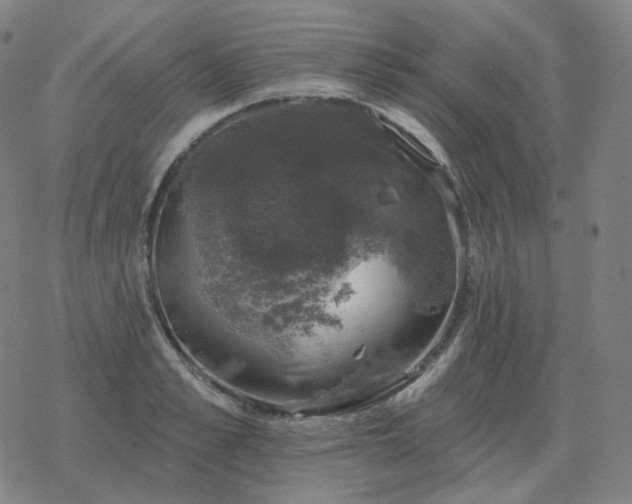 X0000068890989200605122029