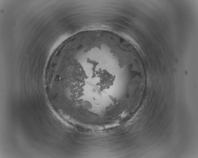 X0000068890990200605122029