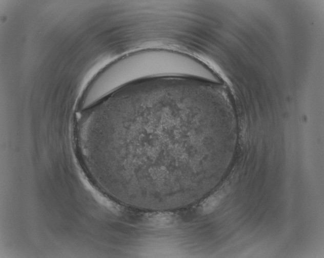 X0000068890991200605122029