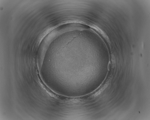 X0000068890993200605122029