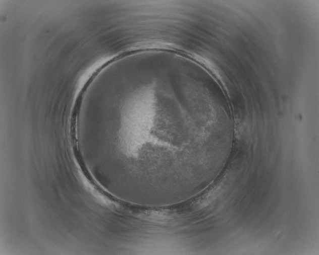 X0000068890995200605122029