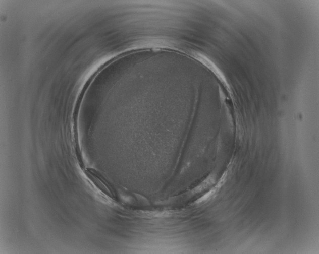 X0000068890996200605122029