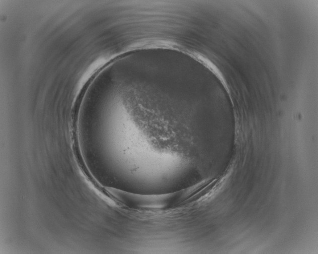 X0000068890997200605122029