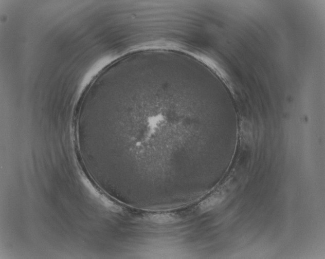 X0000068890998200605122029