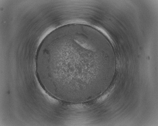 X0000068890999200605122029