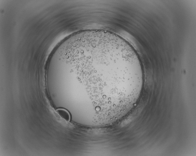 X0000068891000200605122029