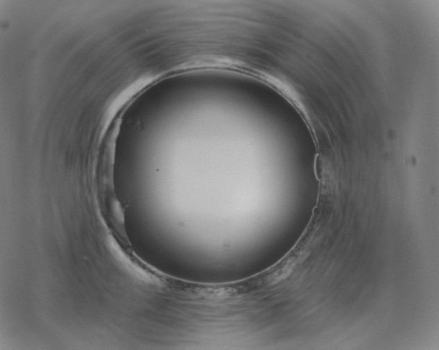 X0000068891003200605122029