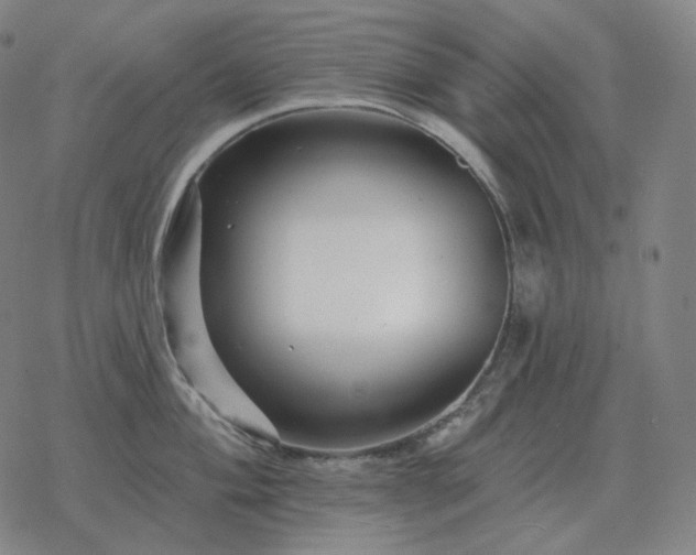 X0000068891004200605122029