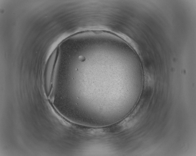 X0000068891006200605122029