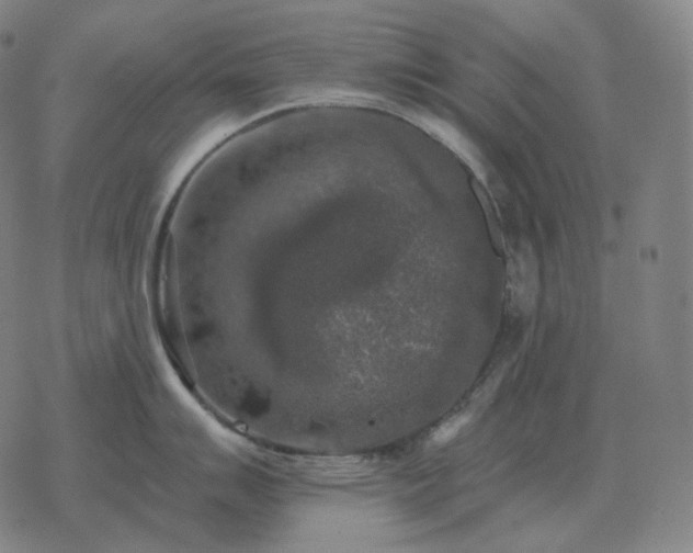 X0000068891007200605122029