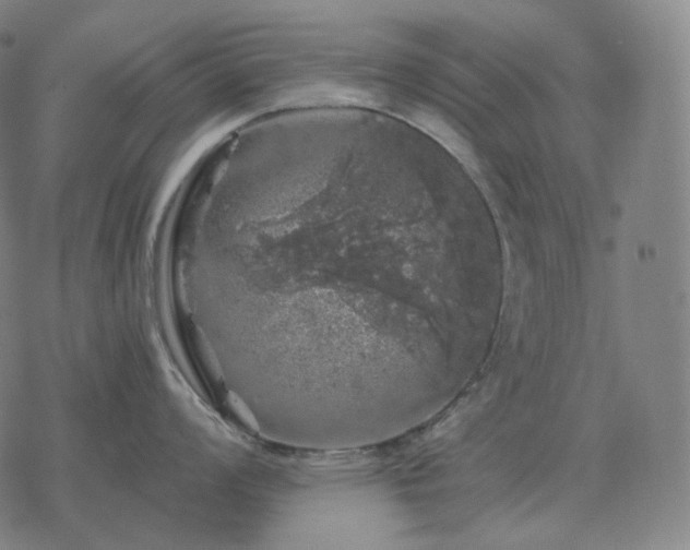 X0000068891008200605122029