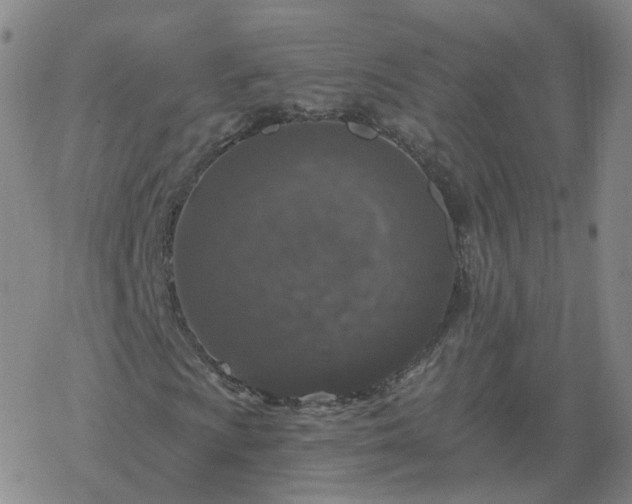 X0000068891009200605122028