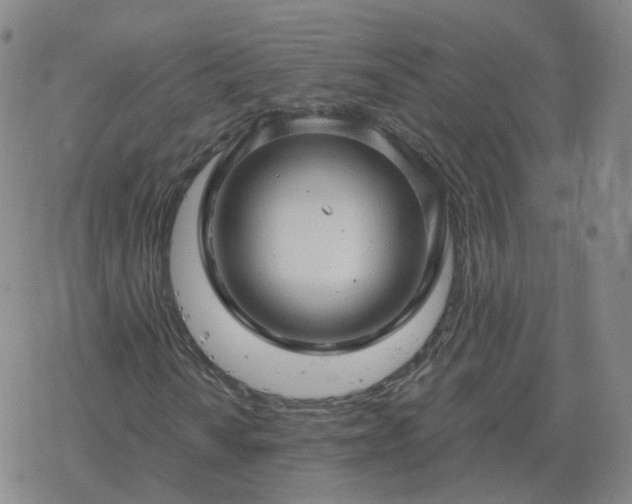 X0000068891010200605122028