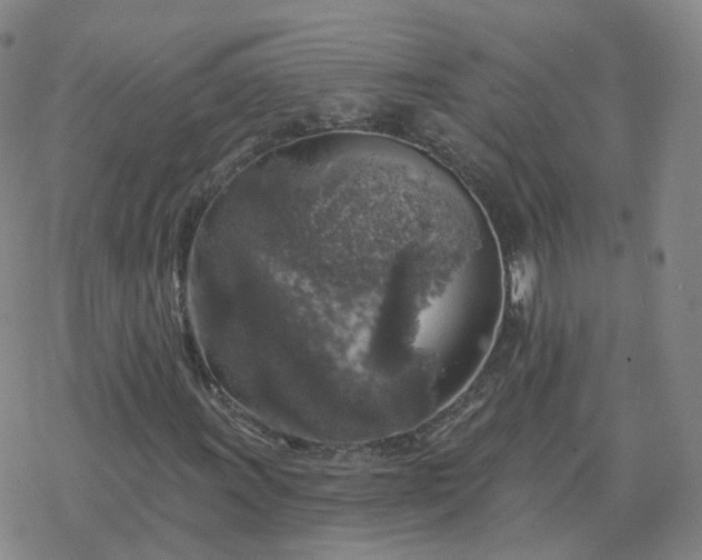 X0000068891011200605122028