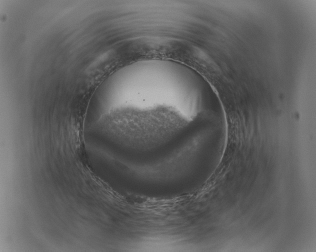 X0000068891013200605122028