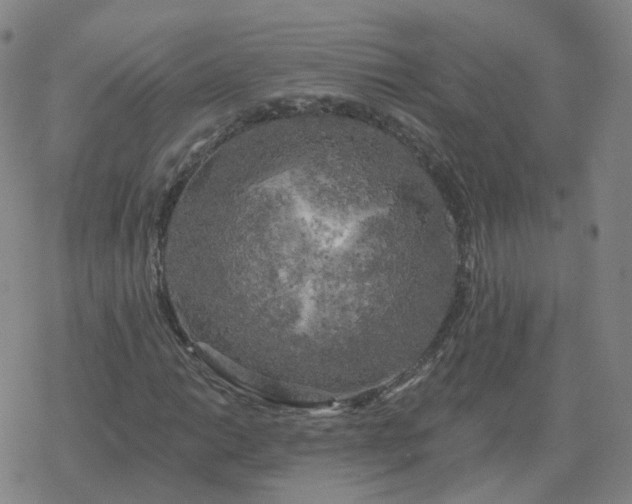 X0000068891014200605122028