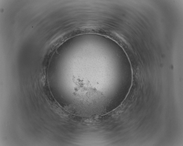 X0000068891015200605122028