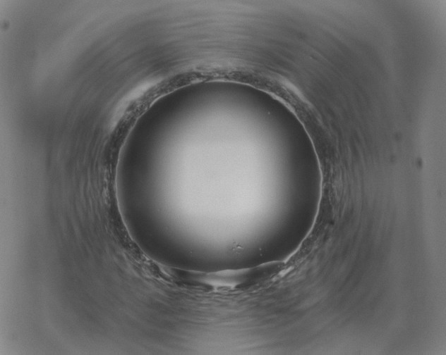 X0000068891016200605122028