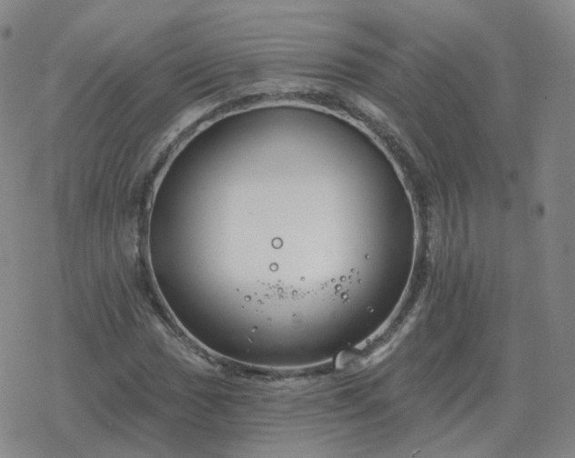 X0000068891017200605122028