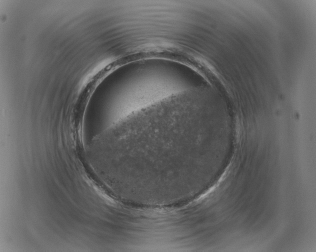 X0000068891018200605122028