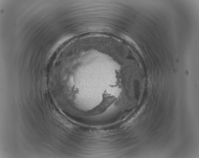 X0000068891019200605122028