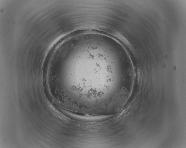 X0000068891020200605122028