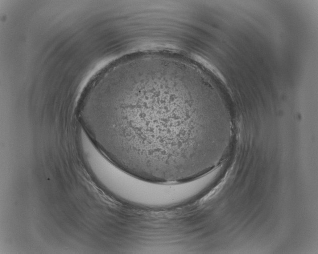 X0000068891021200605122028