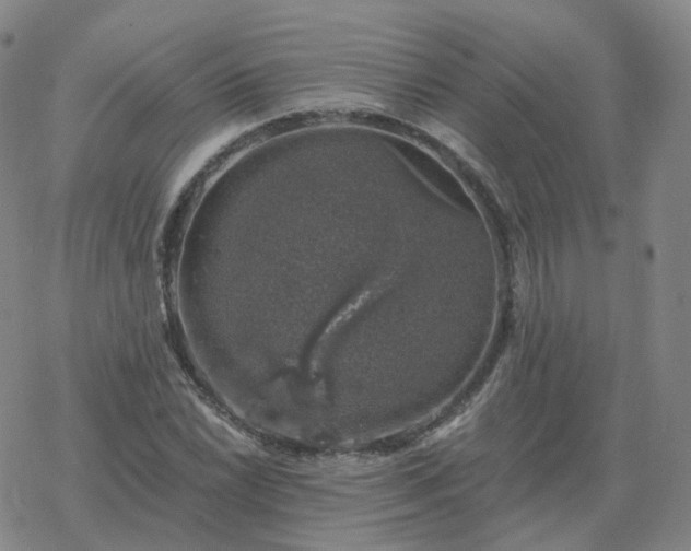 X0000068891022200605122028