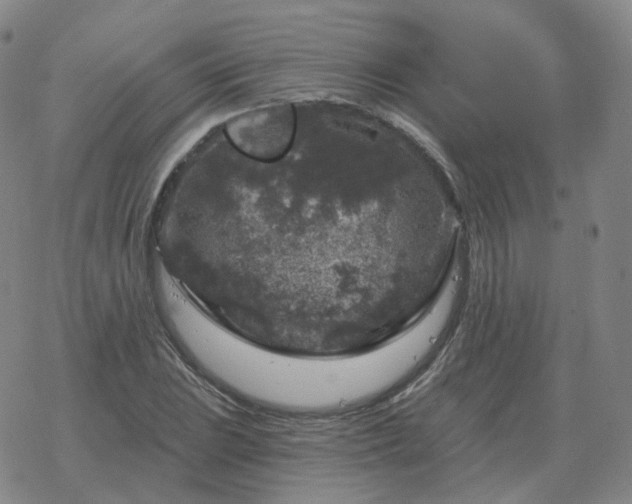 X0000068891023200605122028